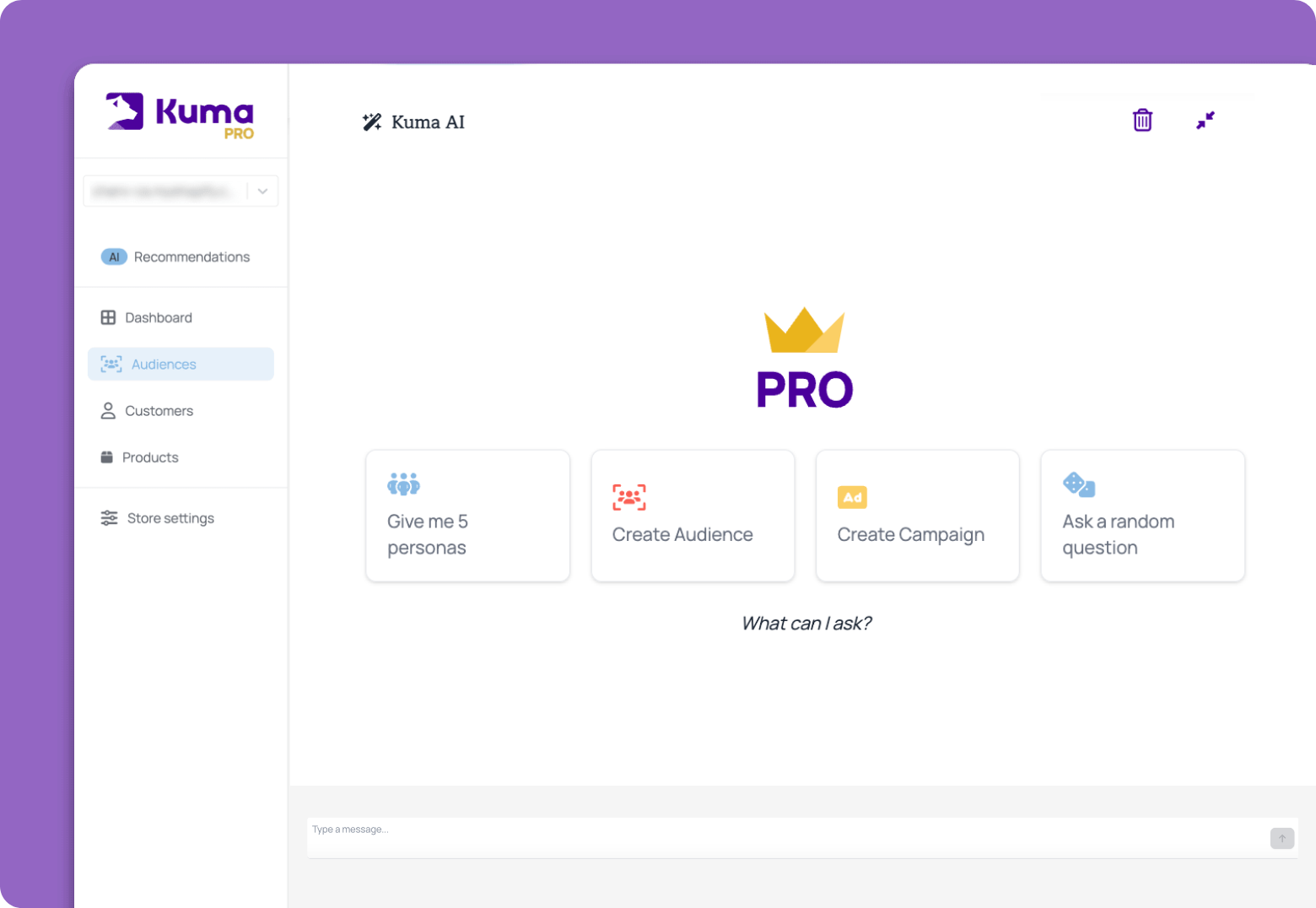 ai chatbot for shopify