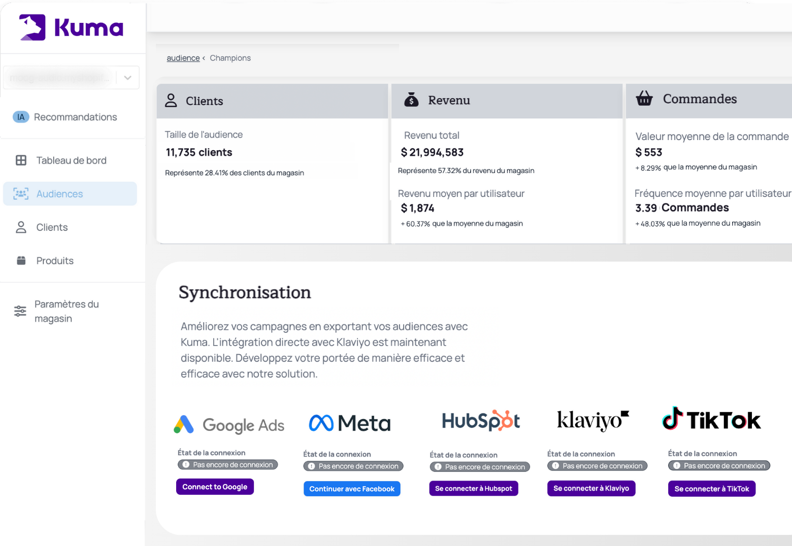 audiences shopify